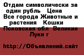 Отдам символически за один рубль › Цена ­ 1 - Все города Животные и растения » Кошки   . Псковская обл.,Великие Луки г.